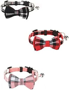 L 3Zbg t q \  y S ybgp