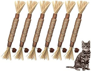  6Zbg _ L؂ Lނ XeBbN ܂ XeBbN VR XgX ފߋ