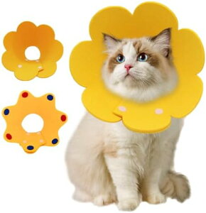 L  J[ \ h _炩 {^ p㕞ւ Ȃߖh~ 畆a  D qL ^ ^ PA E֗ 2Zbg