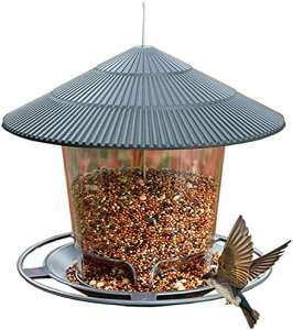 쒹pGT ݂艺  vXeBbN e t GT StbNt o[hEHb`O  K[f x_ (O[)