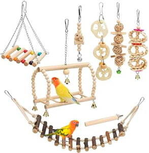 Zbg ؐ ̂ ݂艺 ފߋ (8_Zbg)