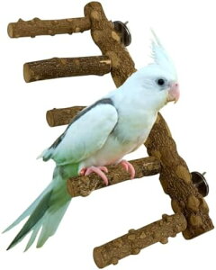 ~܂ 5A Ki ܂𖁂 ނ VR X^h  xݑ Vя oXK XgXybgpi6_Zbg