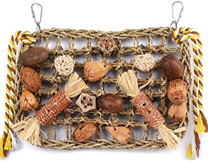 o[hgC CR  ObY ̗Vя ݉^Cvߋ ZLZCCR IE ނ ފߋ VRS