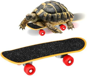 ~j XP[g{[h Jp tBK[XP[g{[h ߋ XgX  m狳 |[^u ϋv IE CR X^hAbvg[jO ঒ ybgpi