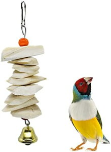 CJ̍  ނ ݂艺 JVE̕⋋  