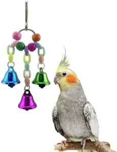   ݂艺  CR ZLZCCR p