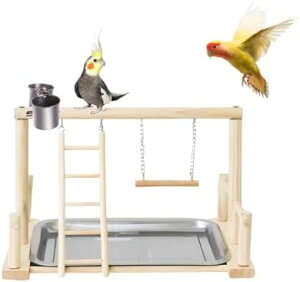 Vя VR؍  ~܂ X^h ͂ W Vn   AX`bN ̑ _[ uR H  gCt   o[hgC 