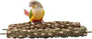 ~܂ VR CR  X^h ܂𖁂 ΂Ƃ  o[hP[Wp ANZT[ Xe[W  R xݏꏊ XgX