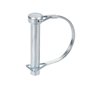 bNs 10mm x 60mm _ƃg[[Őp Yf|g[[Jv[s