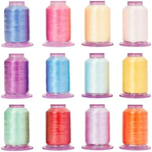 �h���イ�~�V���� �Z�b�g 550Y�� x 12�F �|���G�X�e�� 120D/2 ����