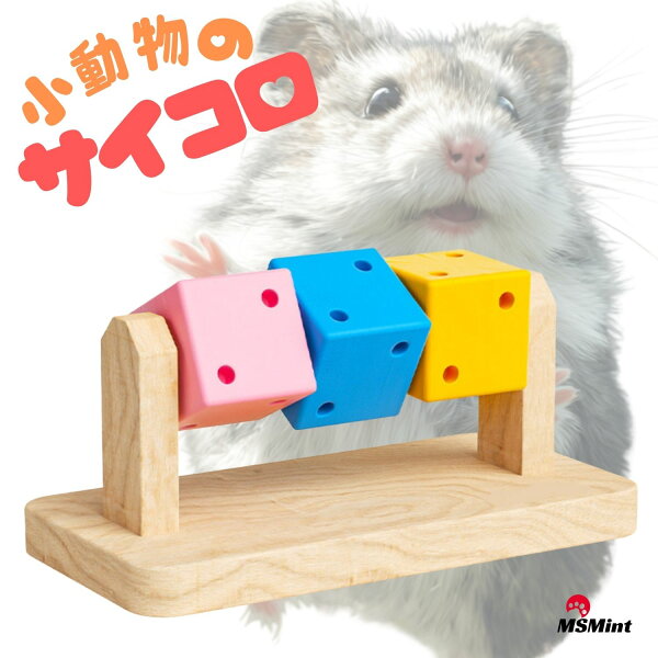 ハムスター 小動物 おもちゃ 遊び 道具  サイコロ  かじり木 アスレチック モルモット デグー