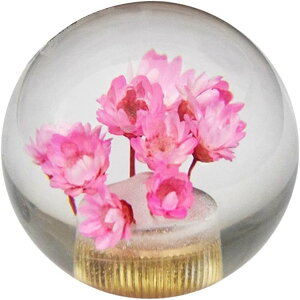  Vtgmu MAmu NX^ {[^ AT MT ԗp YԂɑΉ JX^ 3ރA_v^[t 1 F