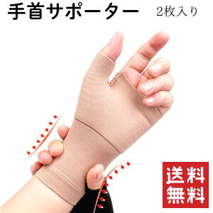  T|[^[2Zbg ̌Œ F≊ P 荪ǏǌQ jp