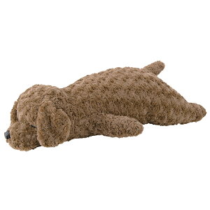  ʂ 傫 ˂ނ˂ރAj}Y ˂ނ˂ޕ  LTCY  lR  v~A˂ނ˂ ܂ Ԃ͂ ˂ނ˂ 