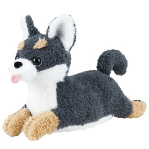 tbs[ EFJNbV  Ck 킢 Č gCv[h ~j`AViEU[ ` rVt[[ ܂ NbV  Ԃ͂