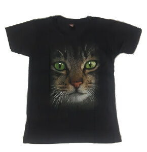 KIDS@ɂTVc@6-8i115j8-10i130j@10-12i140j@@ubN@oh@TVc@q@oT L