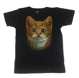 KIDS@ɂTVc@6-8i115j8-10i130j@10-12i140j@@ubN@oh@TVc@q@oT L