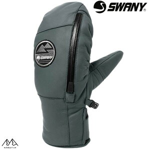 Xj[ XL[O[u JVEX Ci[O[ut~g SWANY Cassius STG TS-400-STG