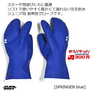 WjAp h ϊ O[u XvQ 3{w BLUE [SPRINGEN-BL]
