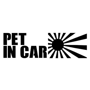 S. 147 PET IN CARi͊j@XebJ[@͊ @JbeBOXebJ[ hXAbv JX^}CY T[Lbg fJ[ Gu JX^ ANZT[ uh AEghA O