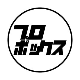 S. 248 レトロ調プロボックス　カッティングステッカー ドレスアップ カスタマイズ サーキット デカール エンブレム カスタム アクセサリー ブランド アウトドア グッズ 雑貨 おもしろ かっこいい おしゃれ バイク 給油口 旧車 VIP ドリ車