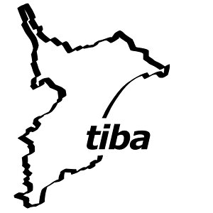 N. 12 ご当地ステッカー(千葉県 カッティングステッカー 選べる12色/転写シート貼付済 文字ステッカー/フィルム/ドレスアップ/カスタマイズ/ドリ車/サーキット/シール デカール エンブレ