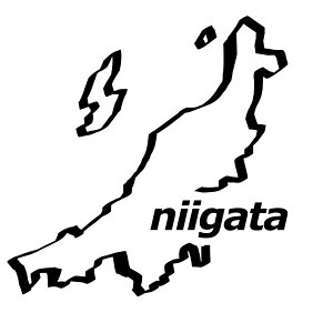 N. 15 nXebJ[iV@JbeBOXebJ[@Iׂ12F/]ʃV[g\t XebJ[/tB/hXAbv/JX^}CY/h/T[Lbg/V[ fJ[ Gu