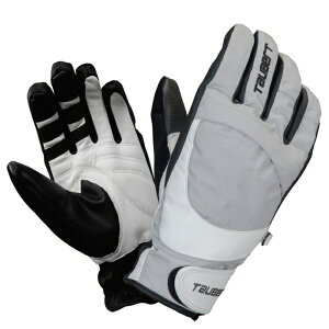 TAUBERT(�g�[�o�[�g) �X�L�[�O���[�u �g�����X�t�@�[ �V���o�[�O���[ 23-24 �g�[�o�[�g