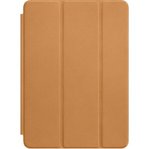 y[zy365oׁzyAEgbgzApple  iPad Air(1)p Smart Case uE v/}CNt@Co[ MF047FE/A