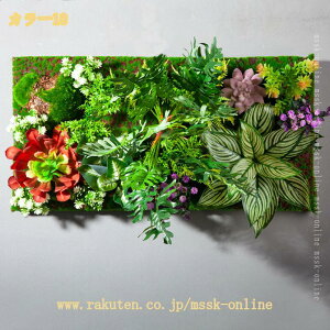 トイレ 植物 観葉植物」の人気商品一覧・価格比較 - 価格.com