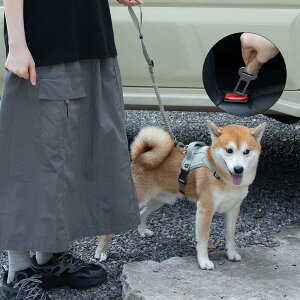 ybgpV[gxg  V_[[h [h ^ ^ ^ AhoXA nYt[ |[h qh~ Eh~  _u[h U ₷ g[j