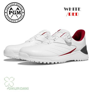 St StV[Y ėp bVʋC _C \tgXpCN Y XpCNV[Y Xj[J[ C am h lHv