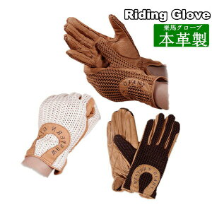 npi O[u n O[u  n ^CgtBbg