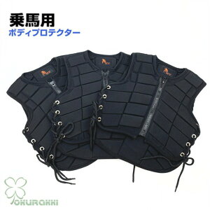 npi npveN^[ xXg{fBveN^[  n jp Y fB[X j 
