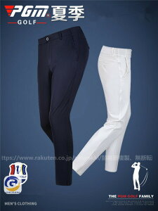 StEFA Y Opc St 傫TCY Xgb`  t ėp X|[c V샂f