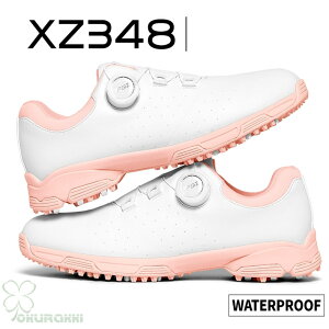 St StV[Y ėp K ʋC _C \tgXpCN fB[X XpCNV[Y Xj[J[ C q h lHv