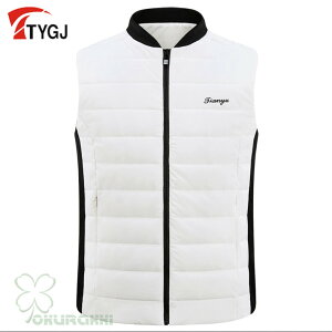 StxXg Y WPbg StEFA h ۉ H~ X|[cEFA jp am JWA