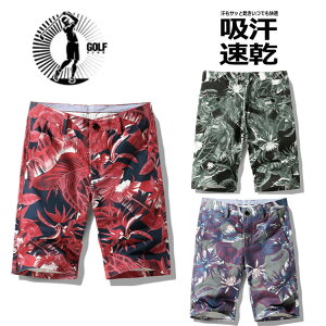 StEFA Y V[gpc St G 傫TCY Xgb` Zp  `FbN t ėp X|[c