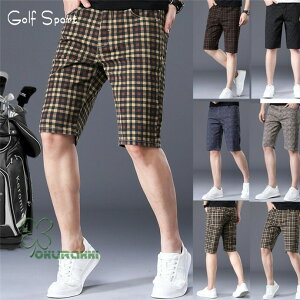 StEFA Y V[gpc St G 傫TCY Xgb` Zp  `FbN t ėp X|[c