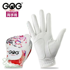 StO[u fB[X StEFA Stpi  ANZT[ JWA X|[c v[g Mtg