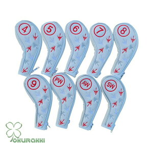 St Stpi Ehpi wbhJo[ ACAp ACAK[h IRON COVER ANZT[ IV  Mtg v[g