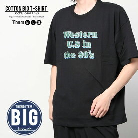 【送料無料】メンズ Tシャツ 半袖 5分丈 5分袖 ビッグ BIG オーバーサイズ クルーネック プリント バックプリント ロゴ カジュアル M L XL 「822-103.104」