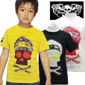 楽天市場 海賊 ボーダー Tシャツの通販