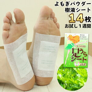 tV[g V[g V[g  14  Tԕ (78626) { tV[g t V[g  t r  tbgPA  ObY MStV[g ނ݃PA QĂ