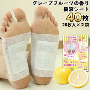 足裏シート 樹液シートの通販 価格比較 価格 Com