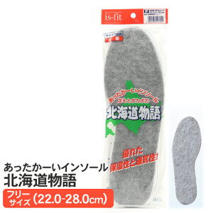 y~zC\[ ƃ|J|J kC (O[) jp t[TCY(22.0`28.0cm) ێ ʋC R g u₩ is-fit