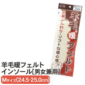 y~zh rђg tFgC\[ MTCY(24.5`25.0cm) ӂ \tgȗSn  jp is-fit