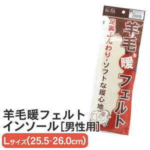 y~zh rђg tFgC\[ YLTCY(25.5`26.0cm) ӂ \tgȗSn  jp is-fit