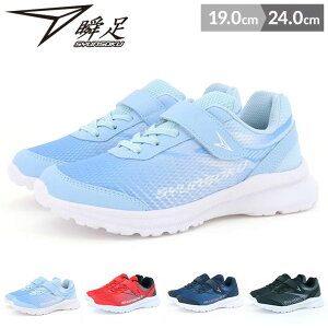 u Xj[J[ V[Y LbY WjA j̎q ̎q 㗚 C q 2E 19cm 20cm 21cm 22cm 23cm 24cm ubN lCr[ bh TbNX CG[ wZ w tďH qC  V