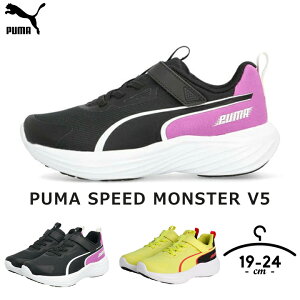 y34%Z[zXj[J[ PUMA v[} WjA j̎q 19cm 20cm 21cm 21.5cm 22cm 22.5cm 23cm 23.5cm 24cm SPEED MONSTER V5 X|[c ^ uh SR V[Y wZ jO t  H ^C OC j